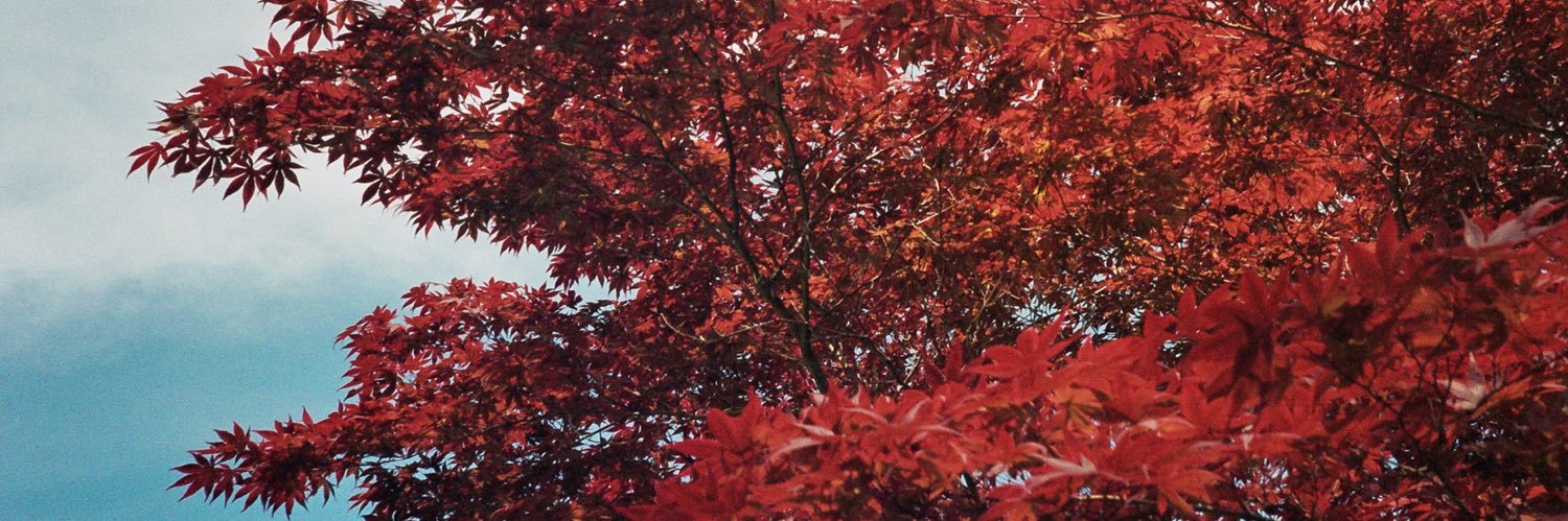 JamesTL__'s profile banner image