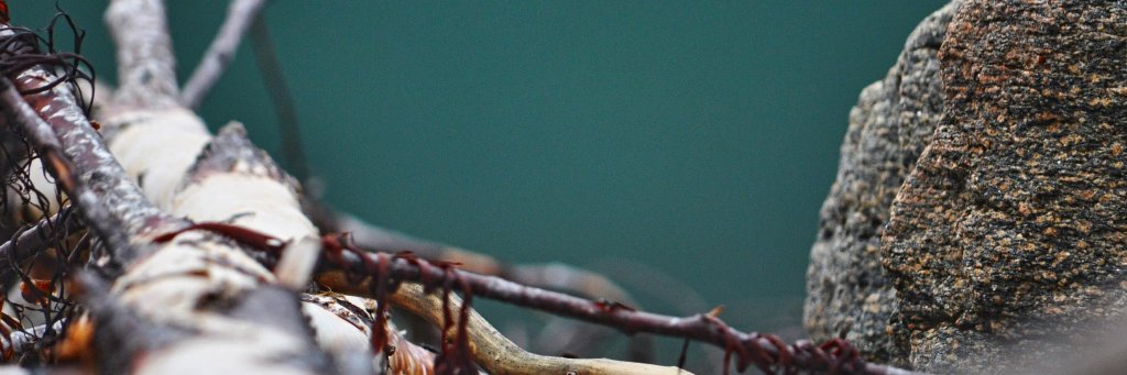 glennbp.bsky.social banner