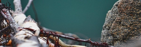 MediaGL1 Profile Banner