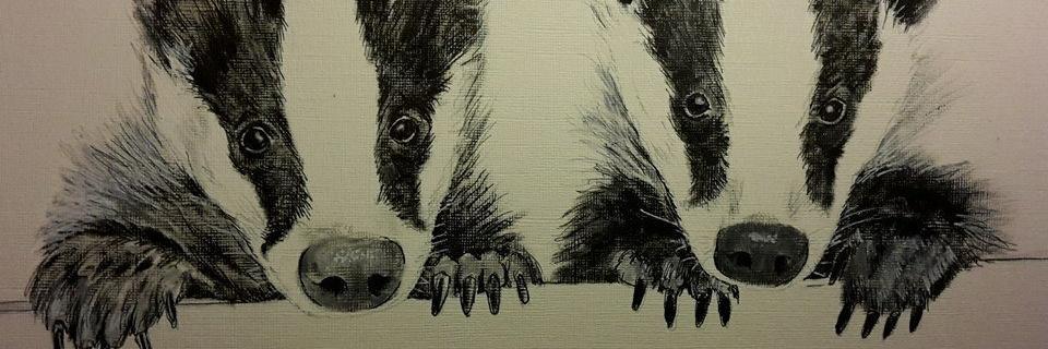 VetsAgainstCull's profile banner image