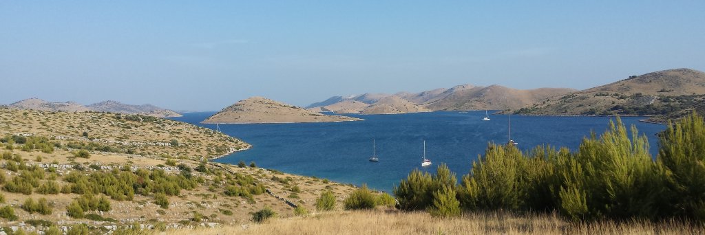 Ivana Podnar Žarko banner