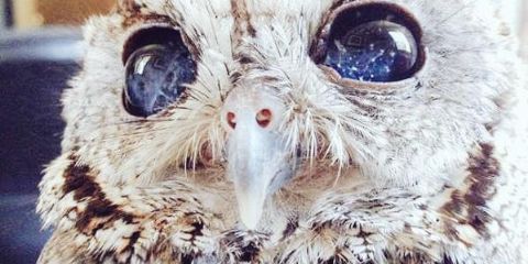 _glamorous_E's profile banner image