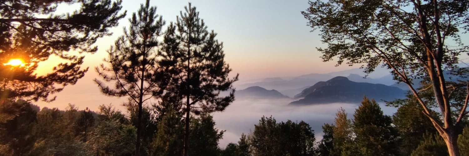hamzagunerigok's profile banner image