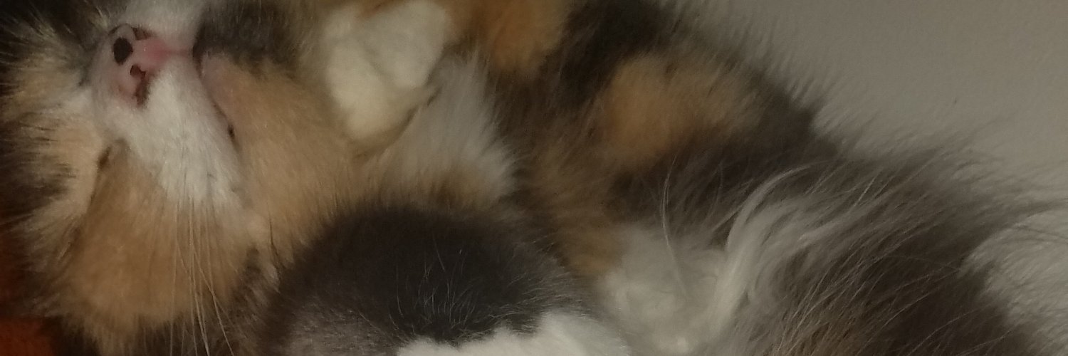 MrAzullll's profile banner image