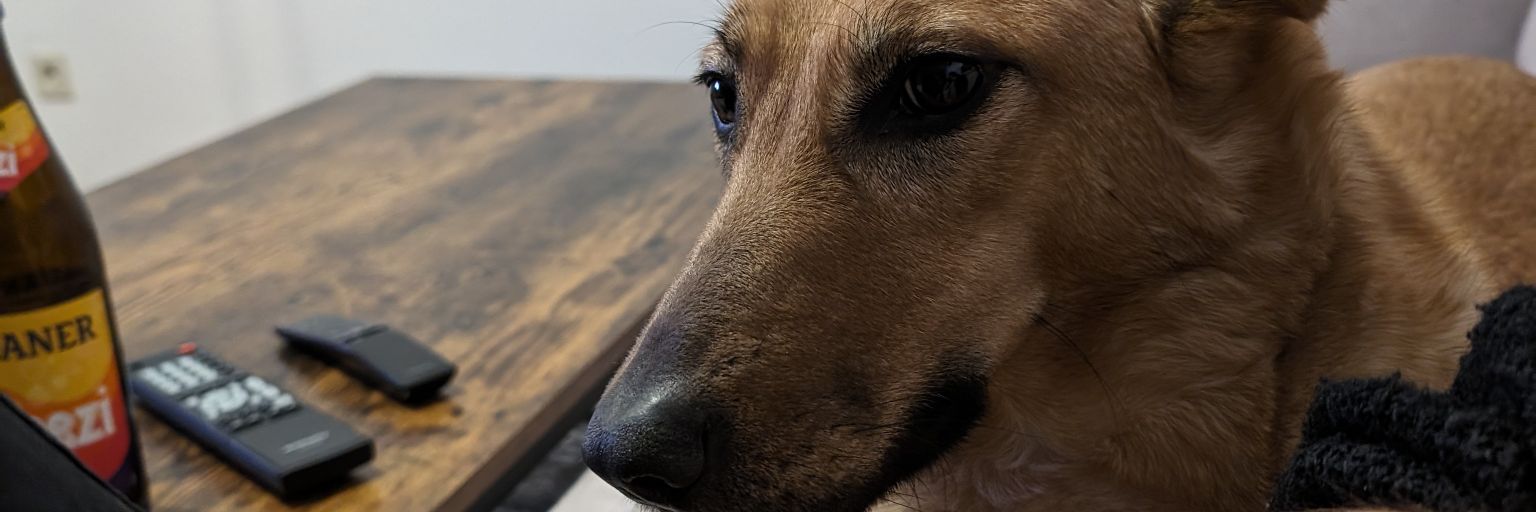 schmarimari's profile banner image
