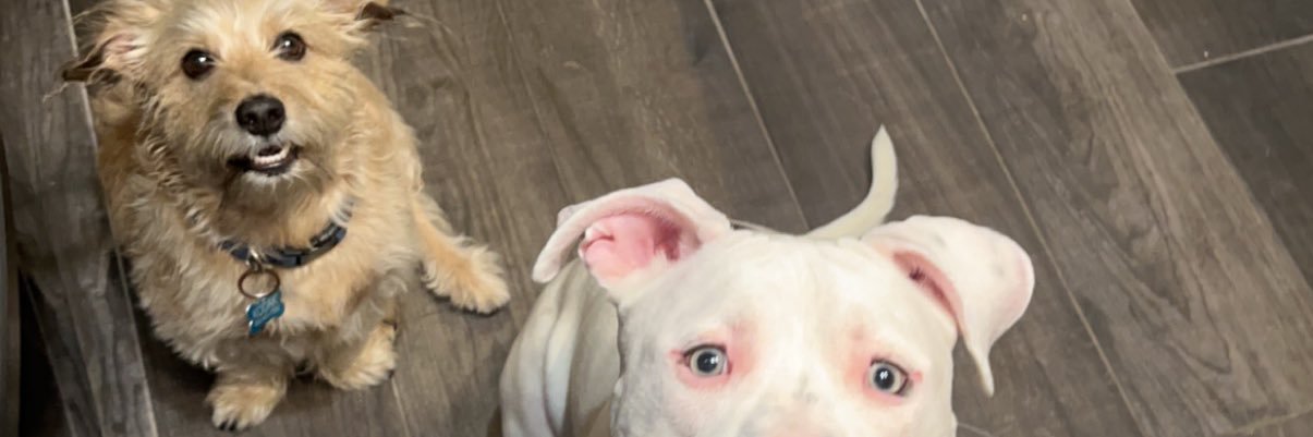 cbiggs1234's profile banner image