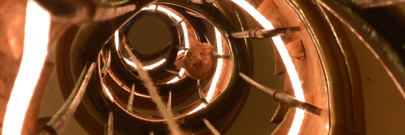 Louis // Scorfly banner