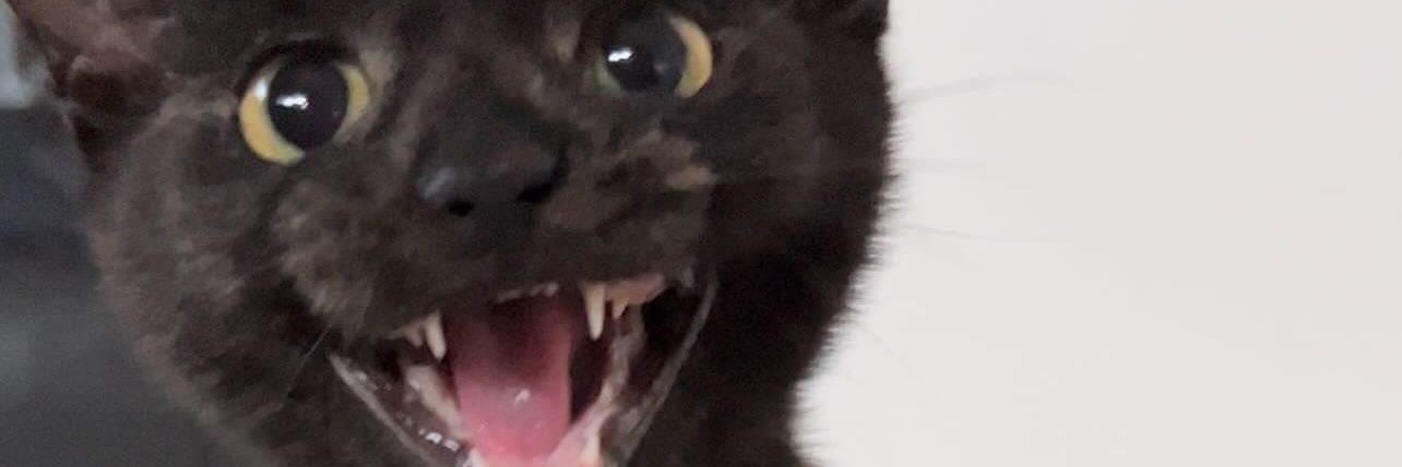 hercthejerk's profile banner image