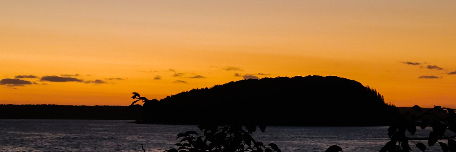 bipolarXbella's profile banner image