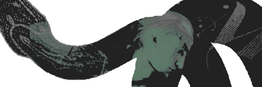 — 𝕷𝐔𝐂𝐈𝐔𝐒 . banner