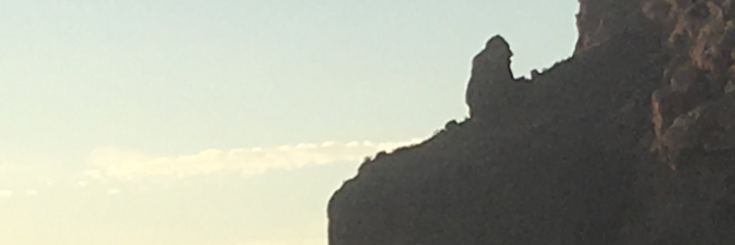 Bob McDonald banner