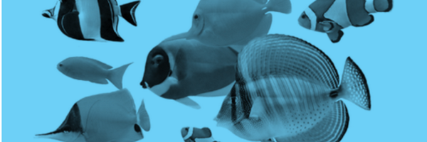 mojasama Profile Banner