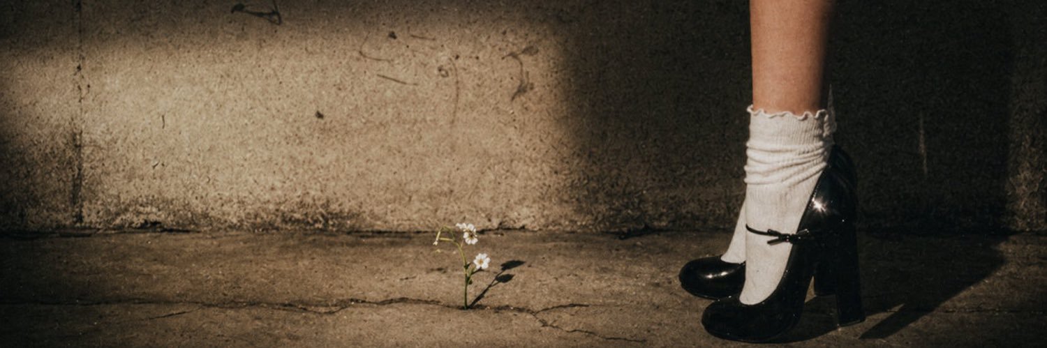sweetenerlights's profile banner image