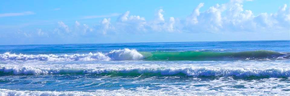 kc layne 🌴🥥🇺🇸💙 banner