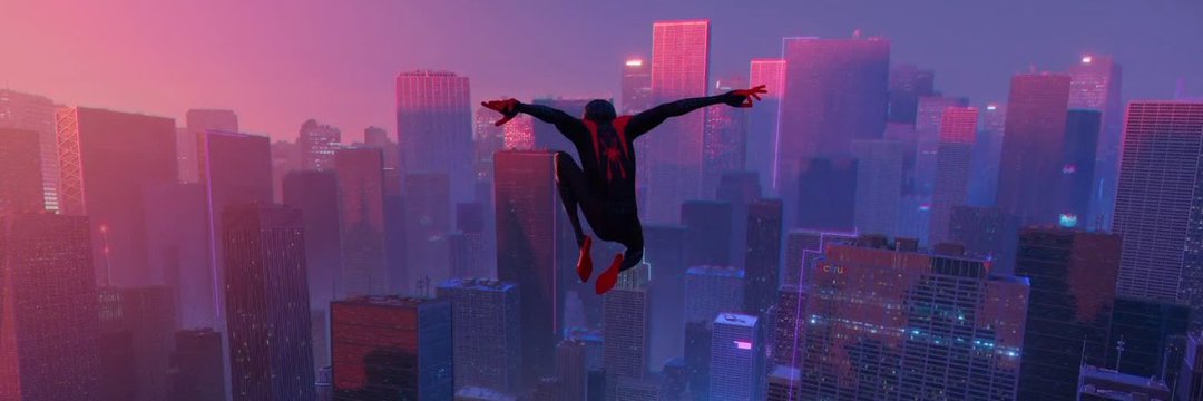 paulitld's profile banner image