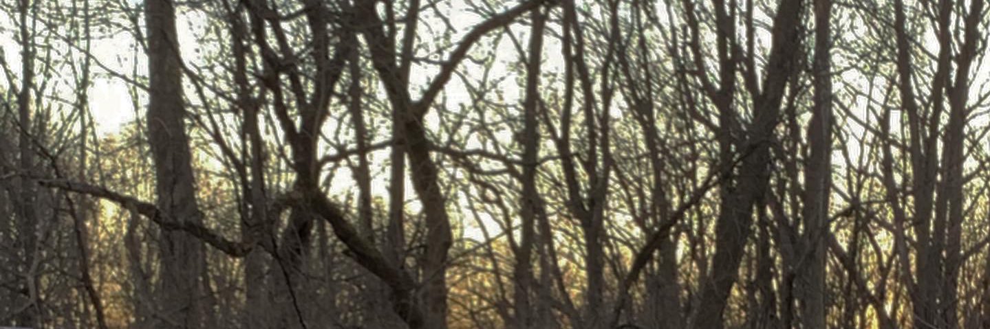 EVVMUSIC's profile banner image