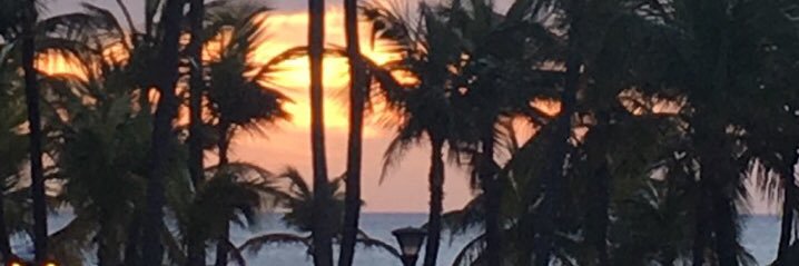 catawbaclark's profile banner image