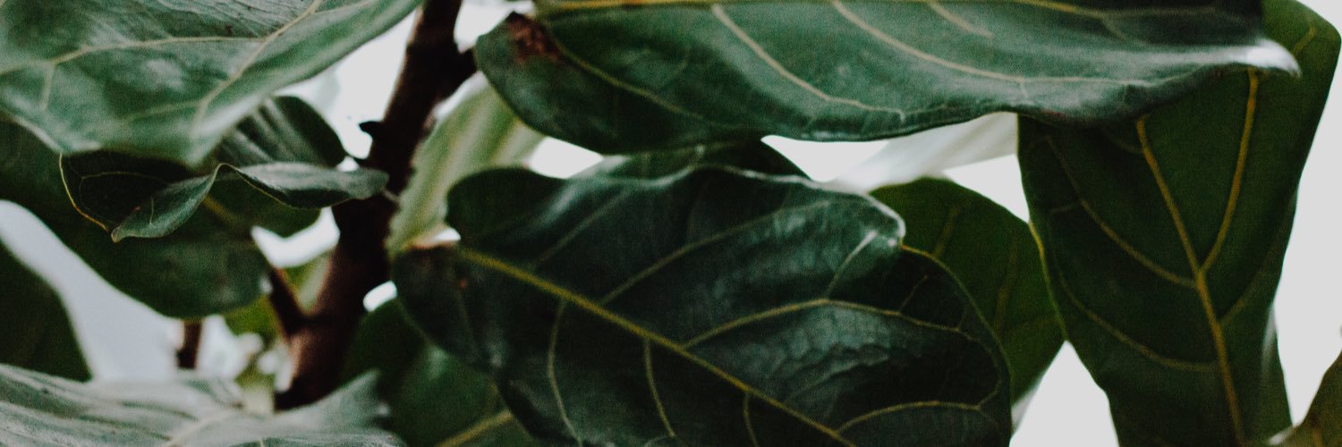 Ashlee_Oneil's profile banner image