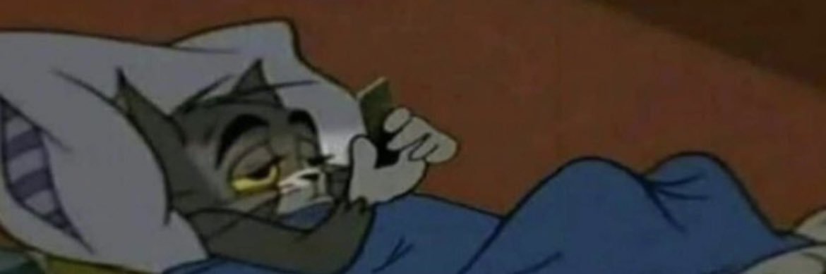 lizavanpoolen's profile banner image