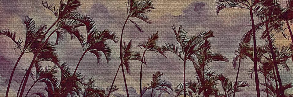 tiger_dragon00's profile banner image