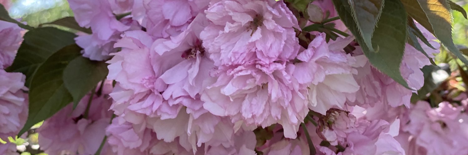 MrsMagruGru's profile banner image