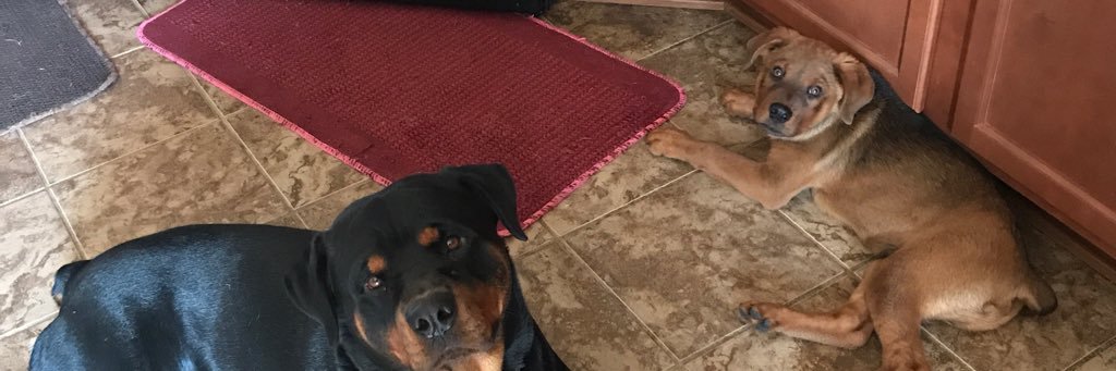 EmJaxk's profile banner image