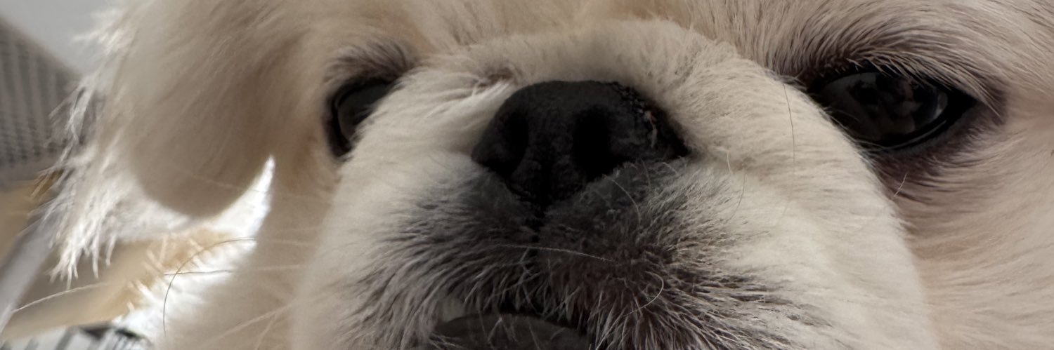 PokoRitto_'s profile banner image