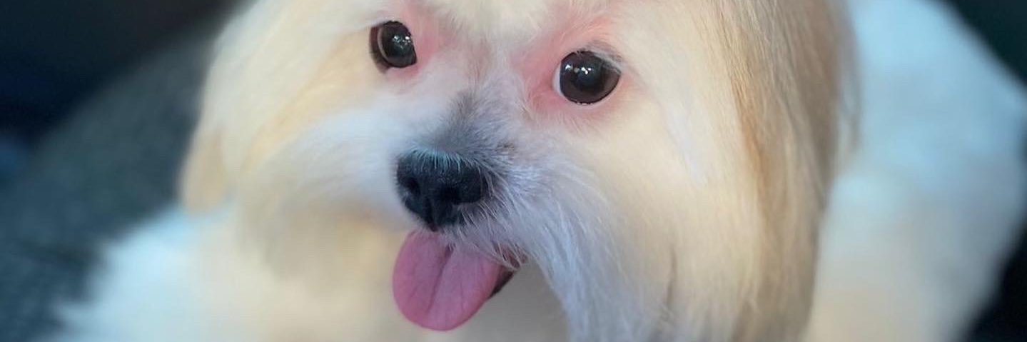 Micheleee_Cris's profile banner image