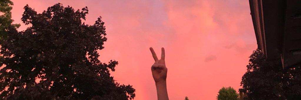 AllySands_'s profile banner image