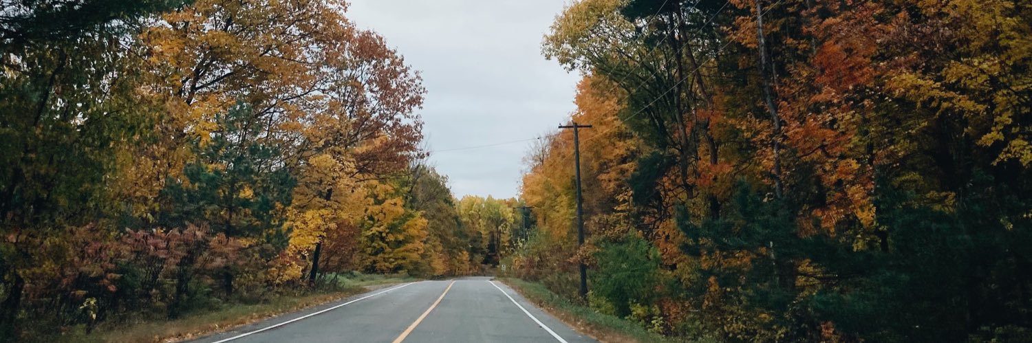 rileylupton's profile banner image