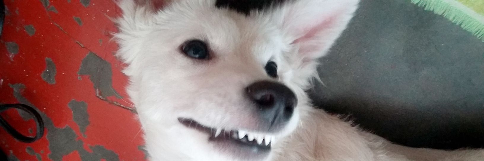 jeneshie26's profile banner image