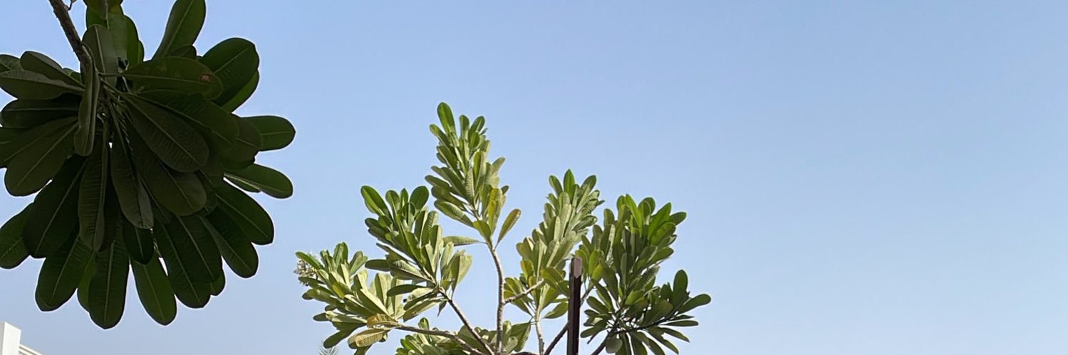 marwah1_'s profile banner image