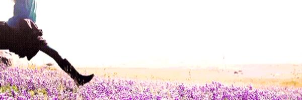 ForgottenHowl Profile Banner