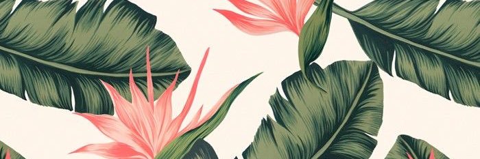 mirbracey's profile banner image