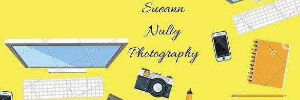 Sueann Nulty banner