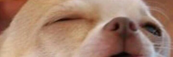 _Esteusuario's profile banner image