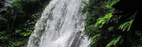 NatureExtremeOf's profile banner image