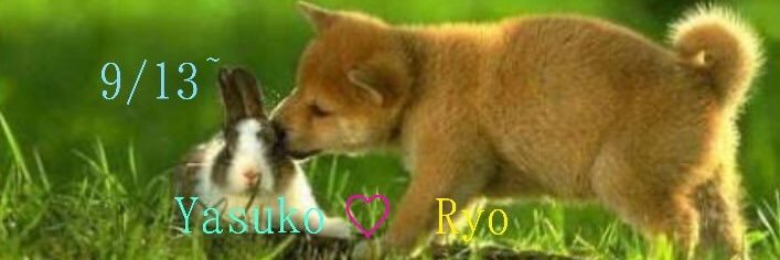 log … banner