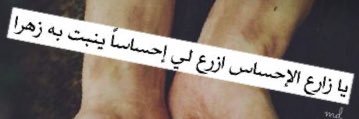 السيده ساره بنت الشريف سعود banner