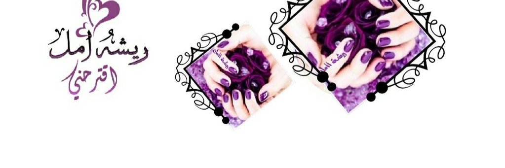 rapp_44's profile banner image