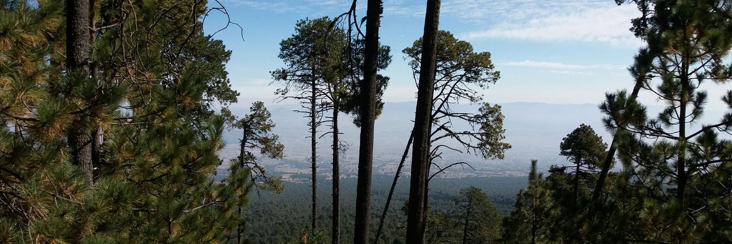 FilipnavaNava's profile banner image