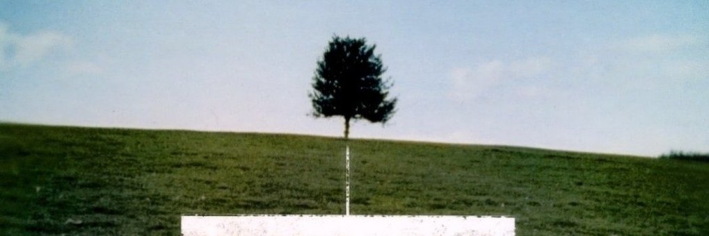 oykummurat's profile banner image
