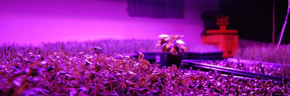 ledgrowguide's profile banner image