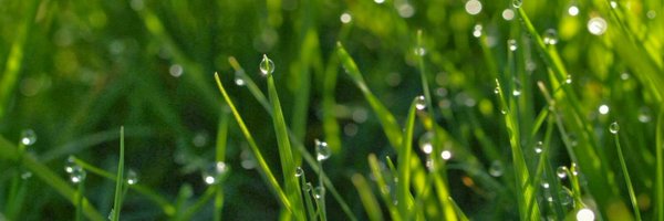 The_Real_DTail Profile Banner