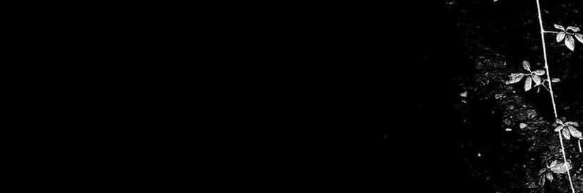 faied11's profile banner image