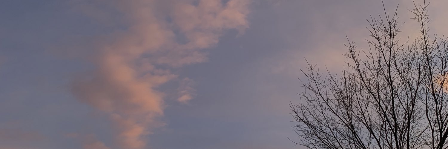 SangerGhani's profile banner image