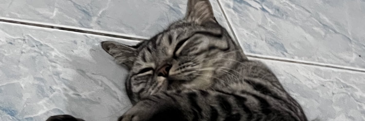 numcha_0412's profile banner image