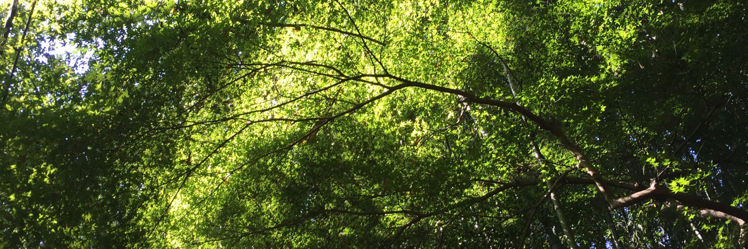 linaamandersson's profile banner image