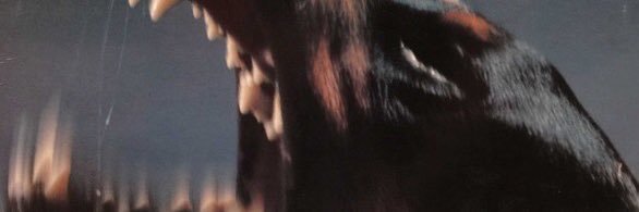 lourysela's profile banner image