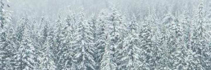 AnaBelloni23's profile banner image